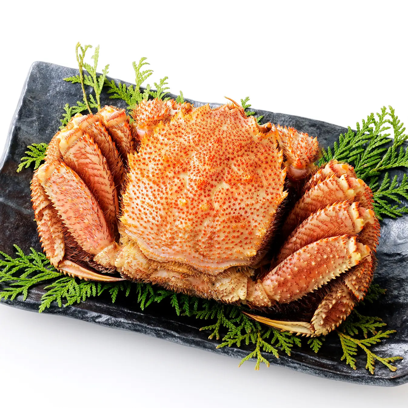 たらば蟹様♡専用ページ かける海鮮サラダ 130g 3本セット【送料無料】【須坂食品工業