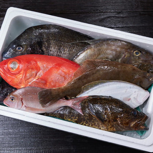 季節の魚介類を定期でお届け